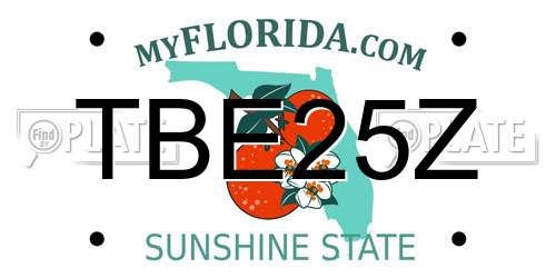 TBE25Z Florida License Plate
