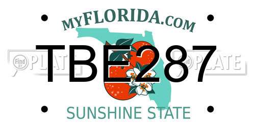 TBE287 Florida License Plate