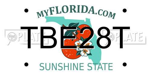 TBE28T Florida License Plate