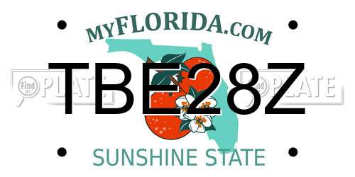TBE28Z Florida License Plate