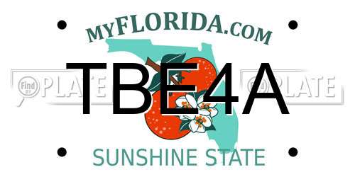 TBE4A Florida License Plate