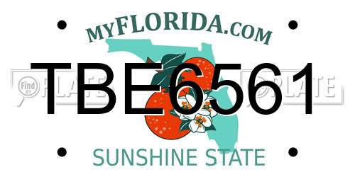 TBE6561 Florida License Plate