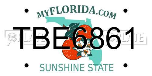 TBE6861 Florida License Plate