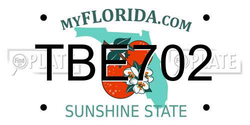 TBE702 Florida License Plate