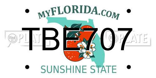 TBE707 Florida License Plate