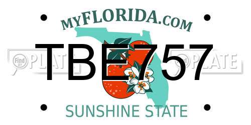 TBE757 Florida License Plate