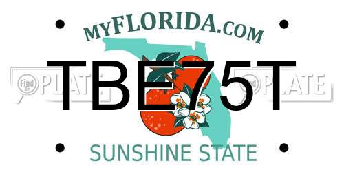TBE75T Florida License Plate