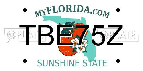 TBE75Z Florida License Plate