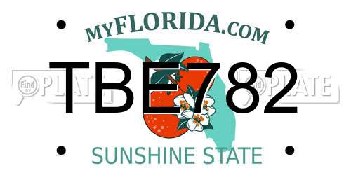 TBE782 Florida License Plate