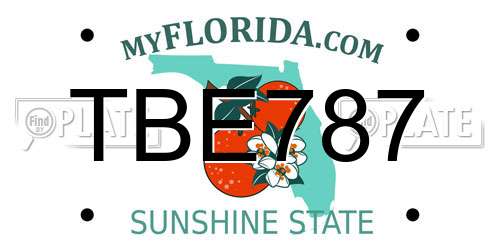 TBE787 Florida License Plate