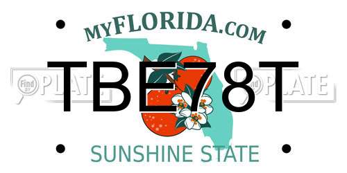 TBE78T Florida License Plate