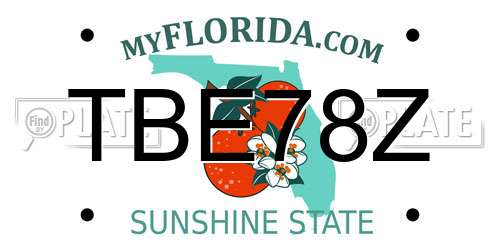 TBE78Z Florida License Plate