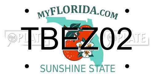 TBEZ02 Florida License Plate