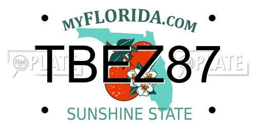 TBEZ87 Florida License Plate