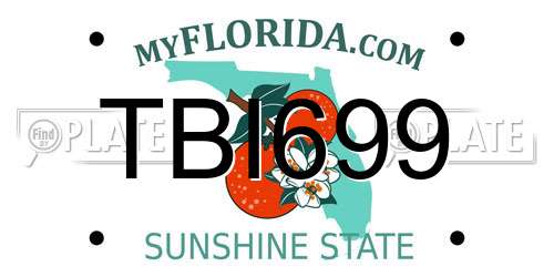 TBI699 Florida License Plate