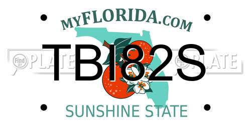 TBI82S Florida License Plate