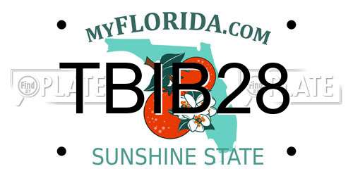 TBIB28 Florida License Plate