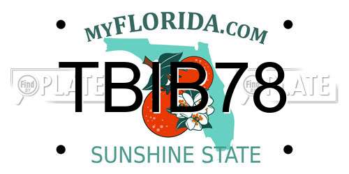 TBIB78 Florida License Plate