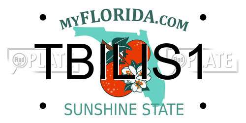 TBILIS1 Florida License Plate