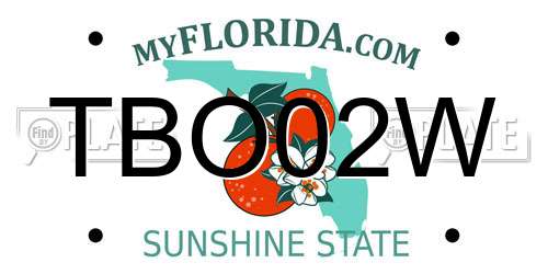 TBO02W Florida License Plate