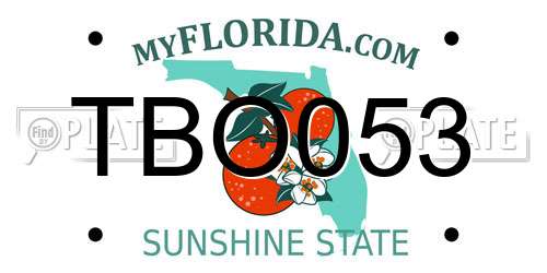 TBO053 Florida License Plate