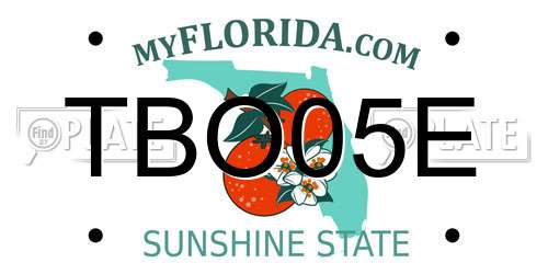 TBO05E Florida License Plate