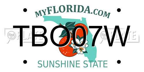 TBO07W Florida License Plate