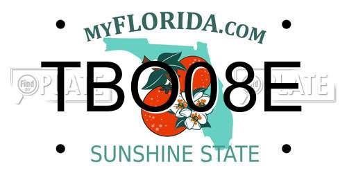 TBO08E Florida License Plate