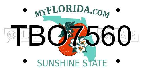 TBO7560 Florida License Plate