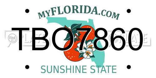 TBO7860 Florida License Plate