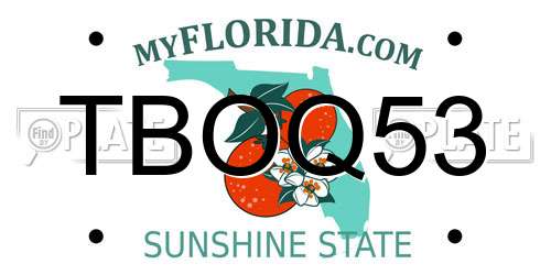 TBOQ53 Florida License Plate