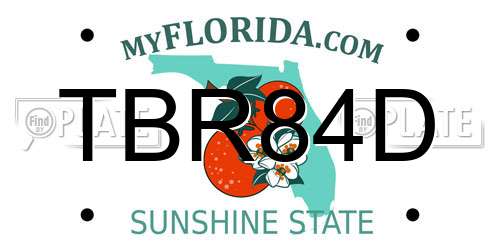 TBR84D Florida License Plate
