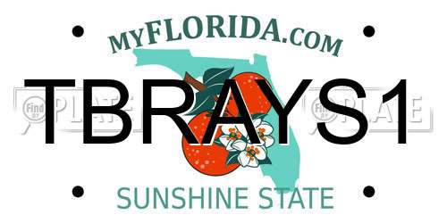 TBRAYS1 Florida License Plate