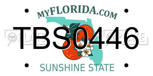 TBS0446 Florida License Plate