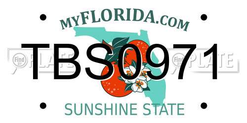 TBS0971 Florida License Plate