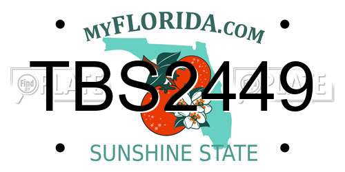 TBS2449 Florida License Plate