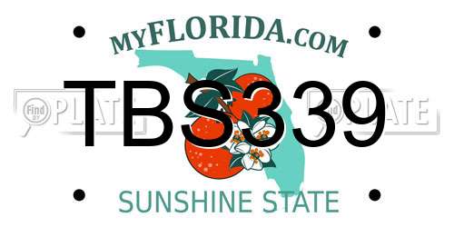 TBS339 Florida License Plate