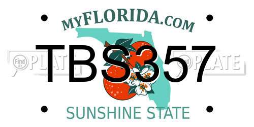 TBS357 Florida License Plate