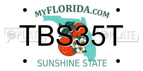 TBS35T Florida License Plate