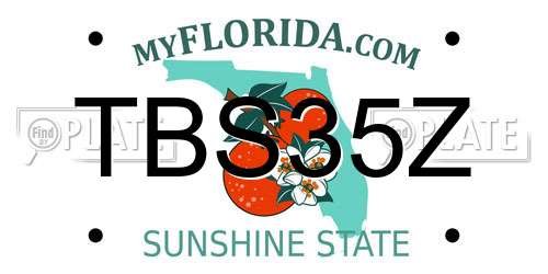 TBS35Z Florida License Plate