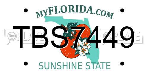 TBS7449 Florida License Plate