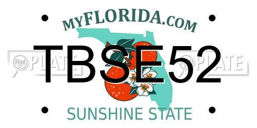 TBSE52 Florida License Plate