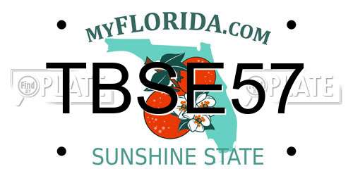 TBSE57 Florida License Plate