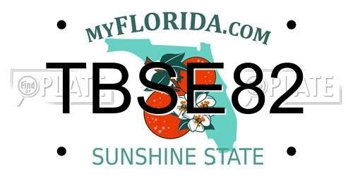 TBSE82 Florida License Plate