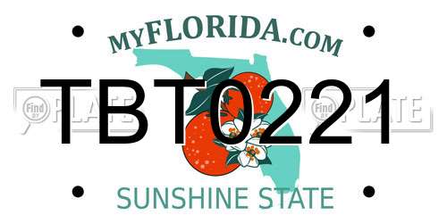 TBT0221 Florida License Plate