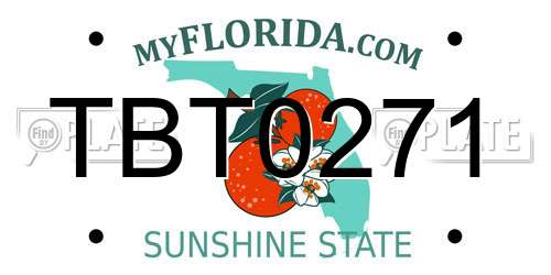TBT0271 Florida License Plate