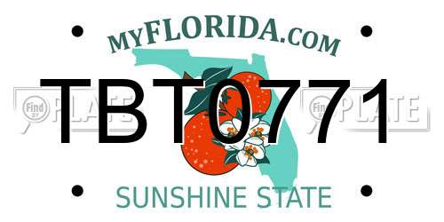 TBT0771 Florida License Plate
