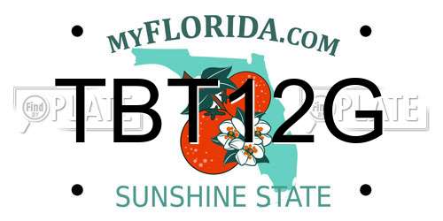 TBT12G Florida License Plate