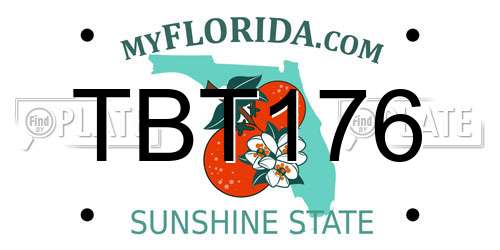 TBT176 Florida License Plate