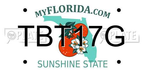 TBT17G Florida License Plate